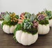 Succulent Pumpkin Centerpiece - Faux Pumpkin - Succulent Fall Decor 