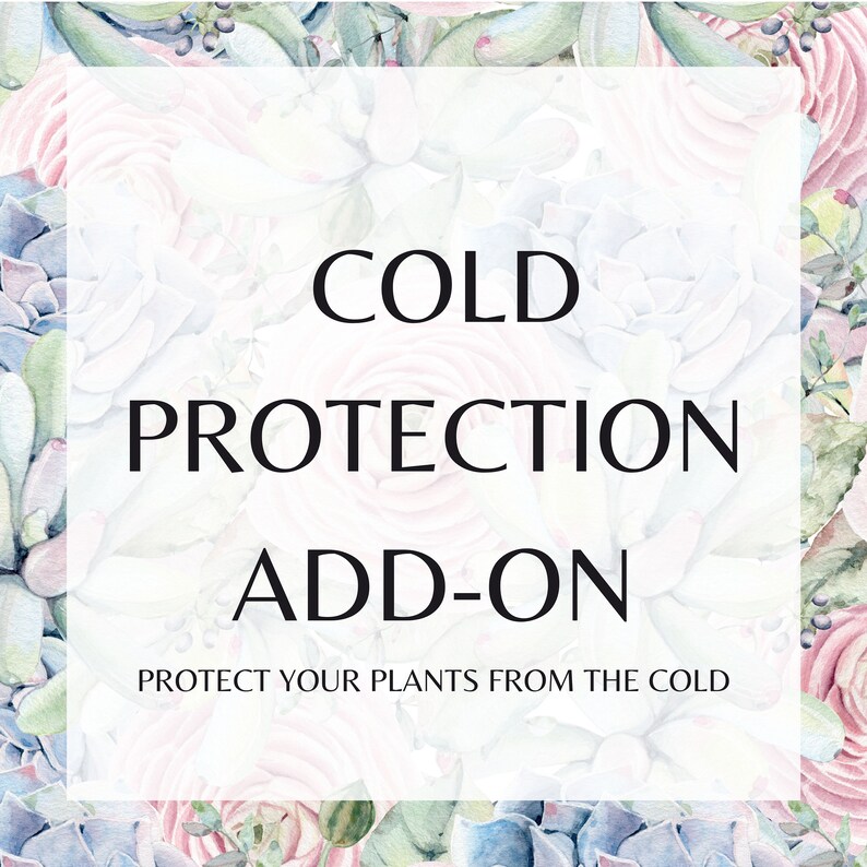 Module complémentaire de protection contre le froid Film à bulles Cold Shield image 1