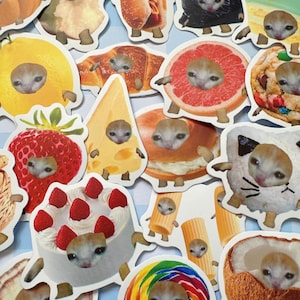 May include: A collection of whimsical stickers featuring a cat's face integrated into various food items. The stickers include a hot dog, a slice of cake with strawberries, a croissant, and a grapefruit. The stickers have a white border and are arranged on a blue and white checkered background.