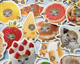 Cat meme brainrot stickers heisei retro webcore junk journal mystery aesthetic sticker pack of 10 for Journaling, Planners, Scrapbooking