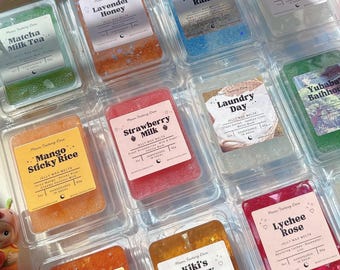 Jelly Wax Melts | Wählen Sie Ihren Duft Erdbeermilch, Matcha, Mango Reis, Lavendelhonig | Niedliches Kawaii Wachs Melts Geschenk | Handgegossen