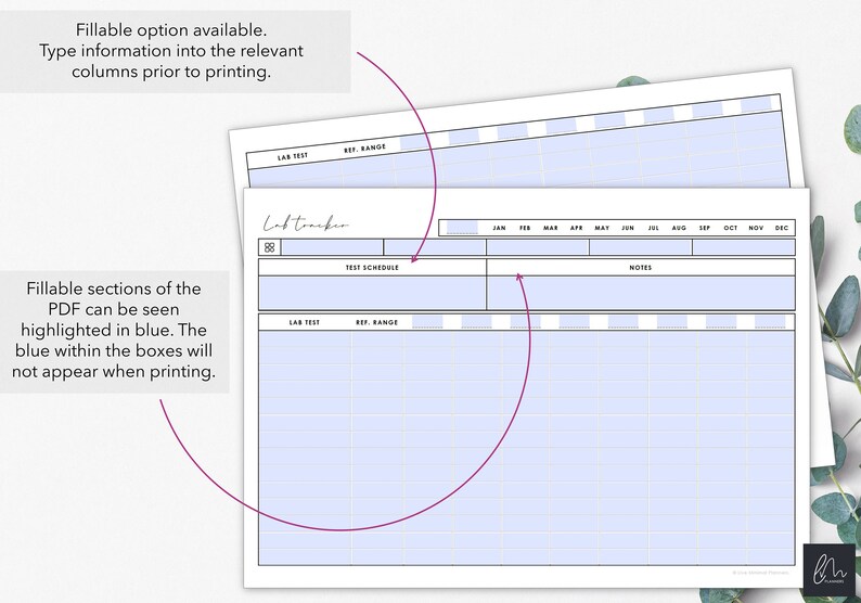 Druckbare und befüllbare medizinische Labor Testergebnisse tracker Druckbare Tabelle zur Kontrolle der Bluttestergebnisse Sofort Download Bild 4
