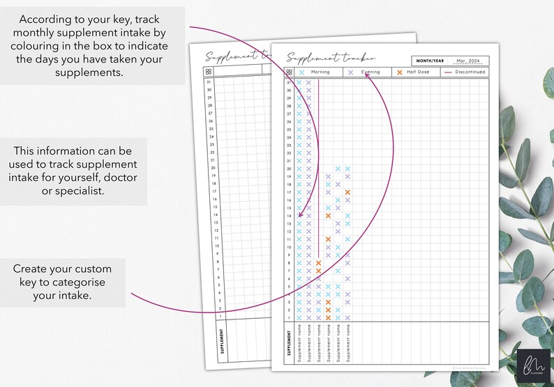 Supplement Sheet.pdf Printable Vertical Monthly Supplement Tracker to Chart Monthly ...