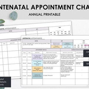 Prenatale afspraakschema | Lijst Zwangerschap Prenatale afspraak Details en consultatienotities | Minimalistisch ontwerp | Direct downloaden
