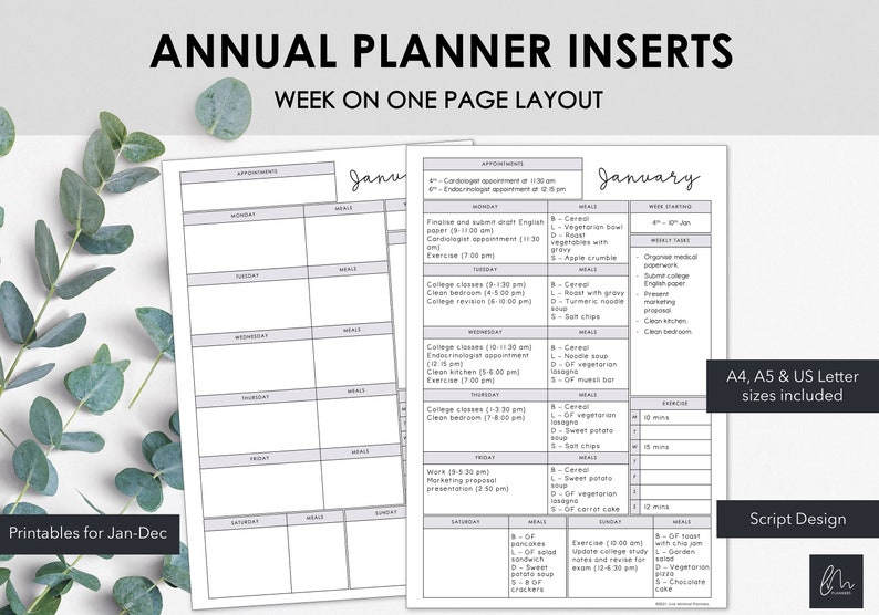 May include: A white planner insert with a week-on-one-page layout. The planner includes sections for appointments, meals, and weekly tasks. Text includes "Annual Planner Inserts" and "Printables for Jan-Dec."