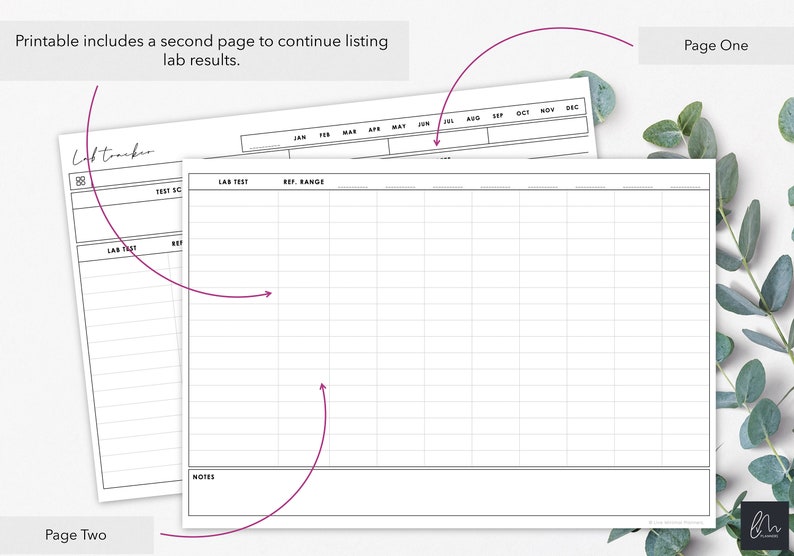 Druckbare und befüllbare medizinische Labor Testergebnisse tracker Druckbare Tabelle zur Kontrolle der Bluttestergebnisse Sofort Download Bild 3