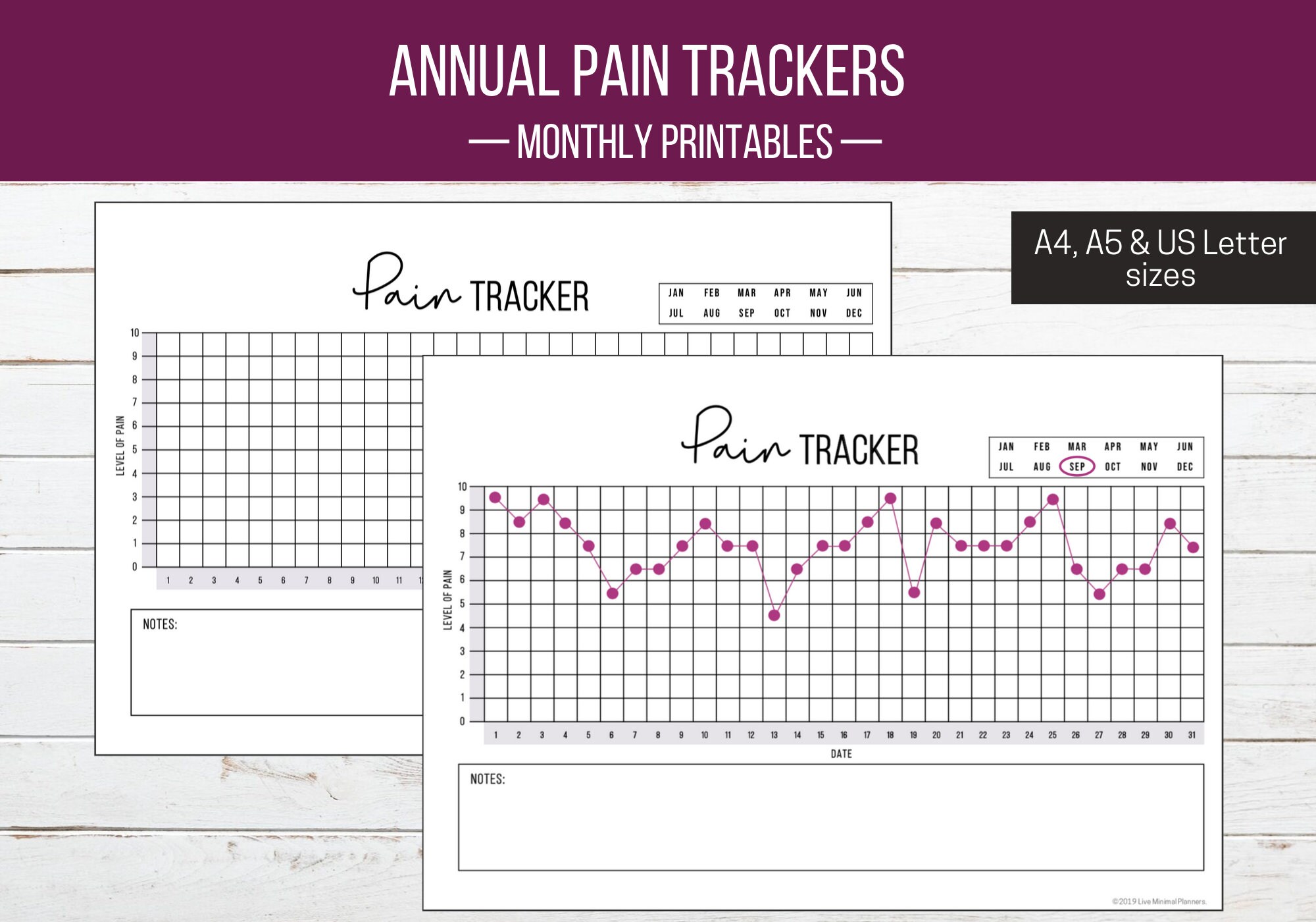 Monthly Pain Tracker Printable Instant Download | Etsy