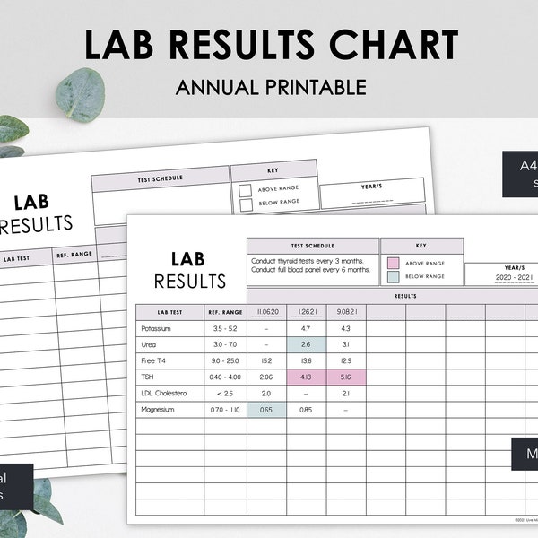 Druckbare Tabelle für medizinische Laborergebnisse | Überwachen Sie die Bluttestergebnisse | Minimalistisches Design | Sofort Download