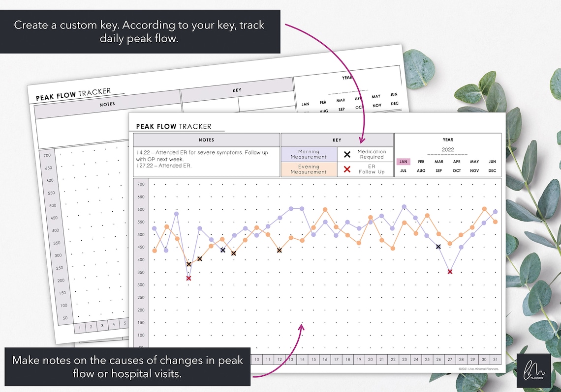 Peak Flow Tracker Chart & Compare Daily Peak Flow Log Monthly Peak Flow ...