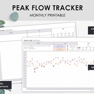 Peak Flow Tracker | Grafiek en vergelijking dagelijkse piekstroom | Log maandelijkse piekflow- en astmabehandelingen | Direct downloaden
