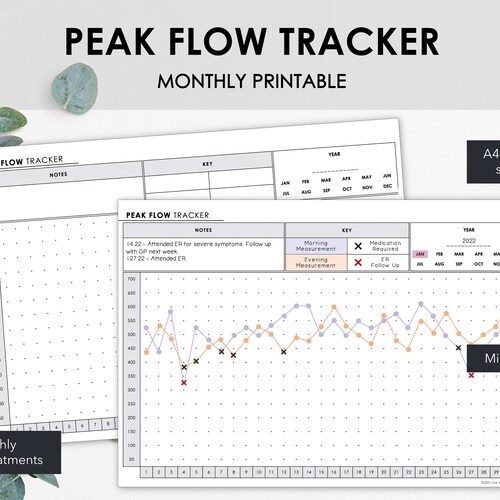 Peak Flow Tracker Chart & Compare Daily Peak Flow Log - Etsy