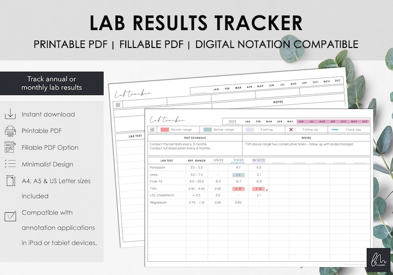 Druckbare und befüllbare medizinische Labor Testergebnisse tracker Druckbare Tabelle zur Kontrolle der Bluttestergebnisse Sofort Download Bild 1