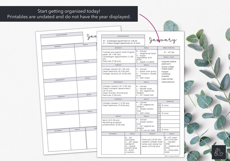 May include: Two undated printable planner pages with a January theme. One page features a weekly schedule with appointments and meals, while the other offers a daily layout. The text "Start getting organised today!" is at the top.