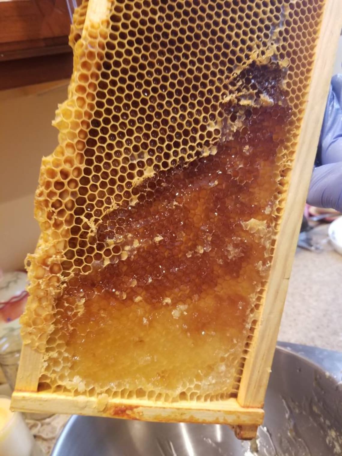 Raw Honey Local Honey West Virginia Honey Etsy