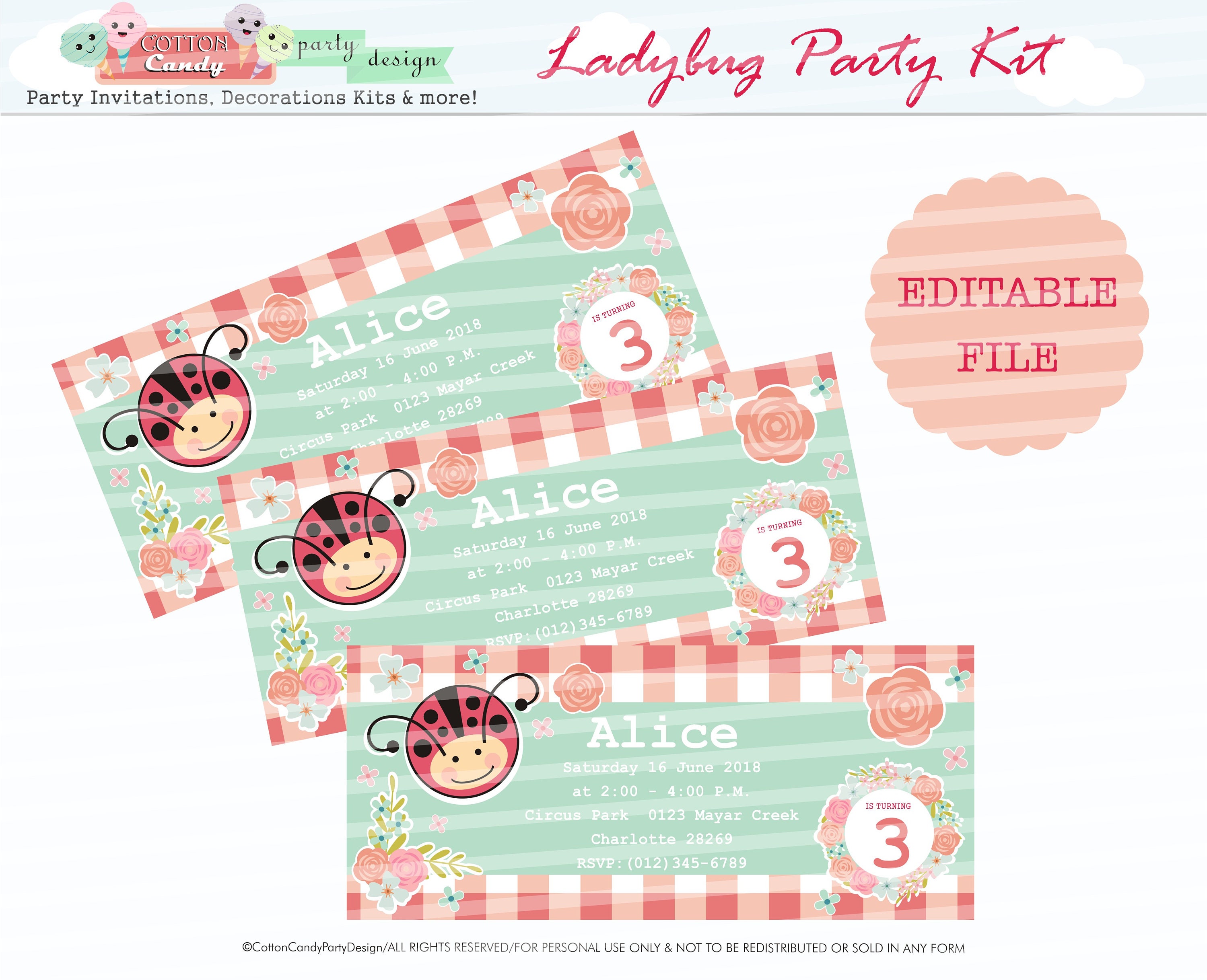 Ladybug Birthday Party, Ladybug Party Decorations, Ladybug Party ...