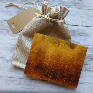 Set van 3 prachtige ansichtkaarten/platte kaarten voor de herfst en 3 enveloppen - wordt geleverd met een schattig jute cadeauzakje en een hanglabel. Espen in de herfst.