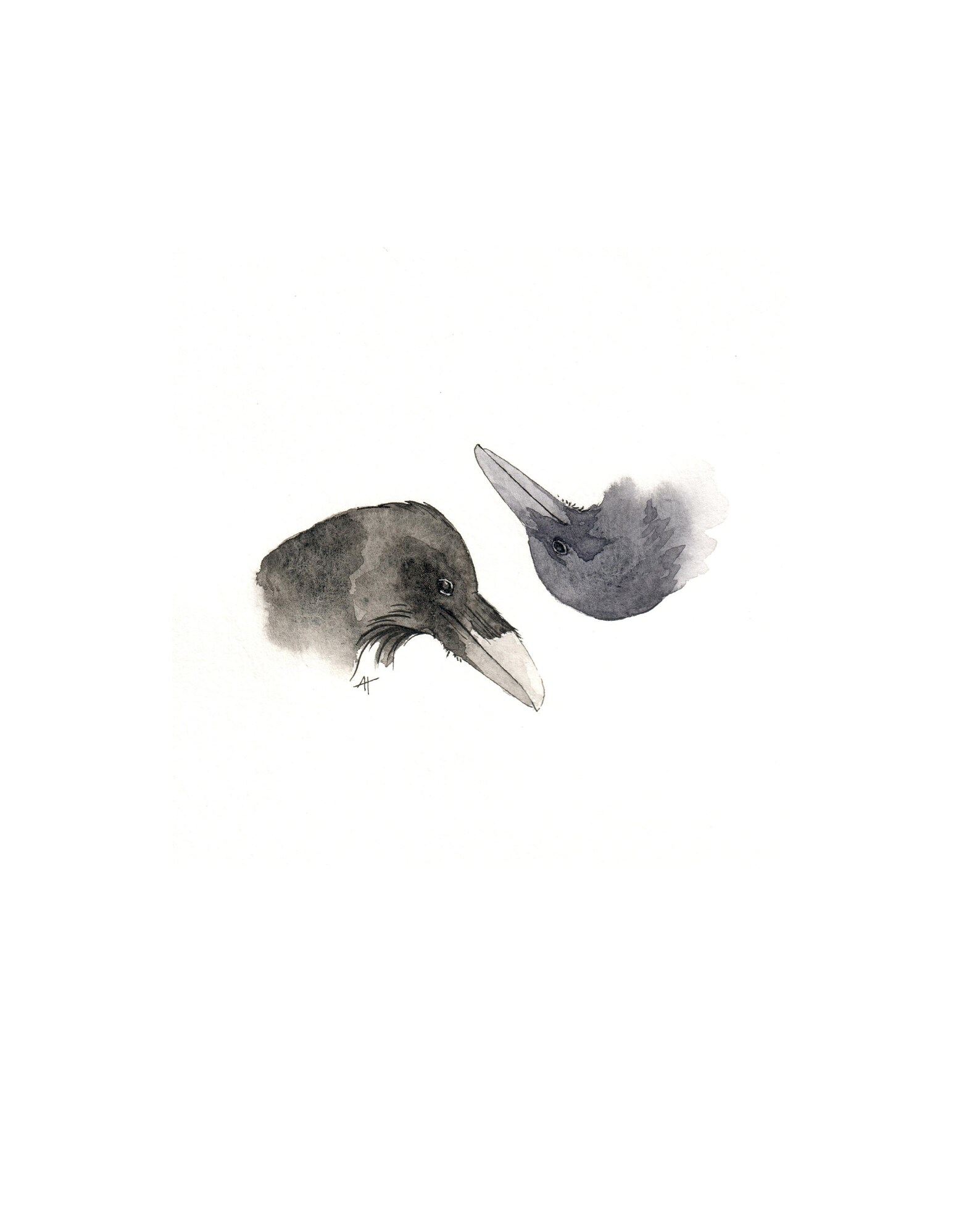 My Image 31