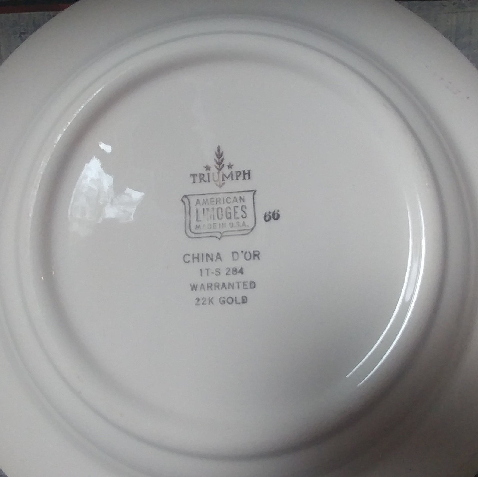 Triumph American Limoges China D' or 1 T-S 284 22kt - Etsy