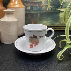 Royal Worcester Demitasse Cup & Saucer: Shelton Orchard Fruit Pattern, 1980s