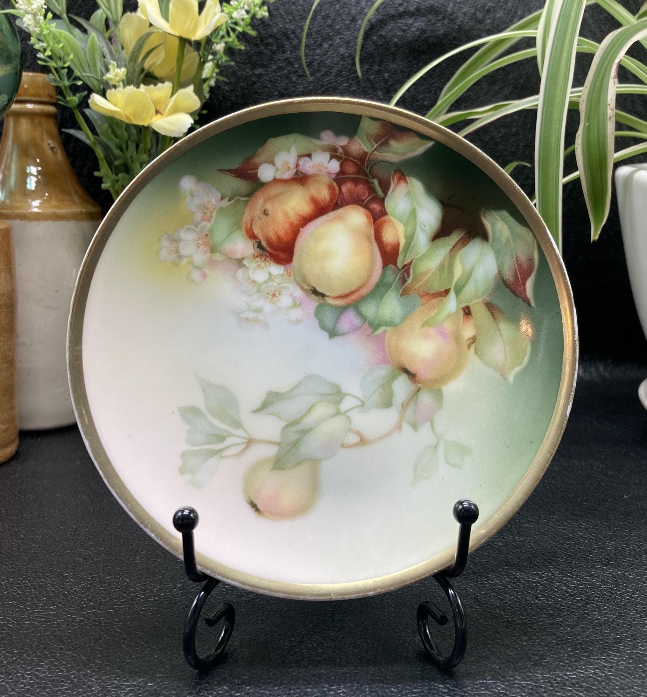 Bavaria Hand Painted Fruit Plates - Etsy
