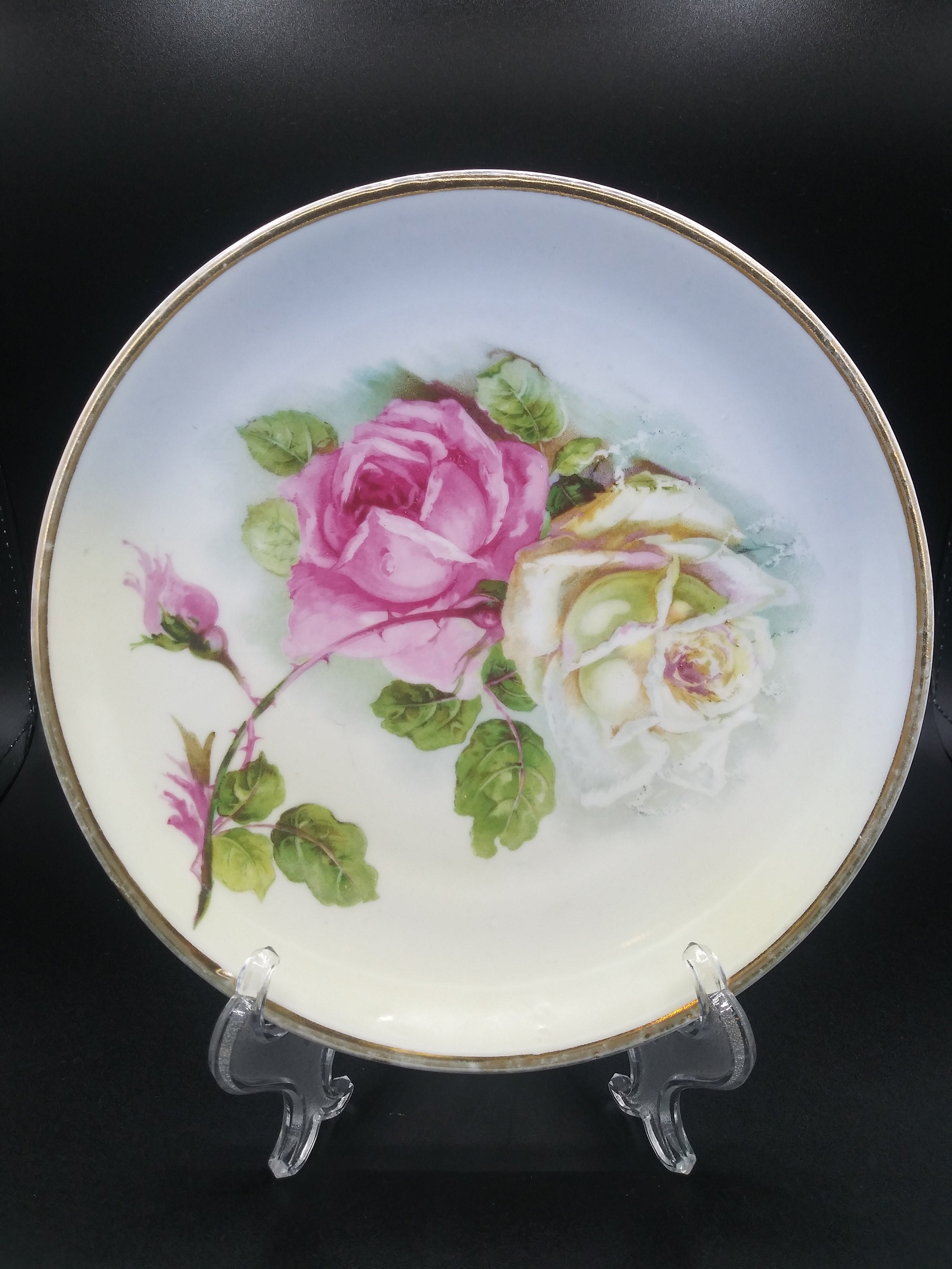 CT Altwasser Germany Vintage Porcelain Collectors Plate With