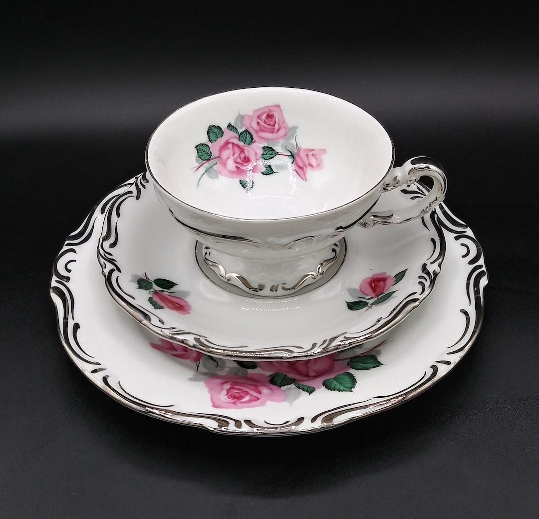 Vintage Dresden Pink Rose Tea Cup Set: Hertel Jacob Bavaria, 1950s - Etsy