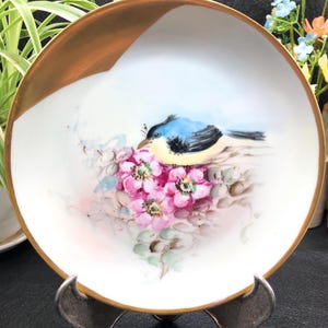 Hand Painted Bird Plate: Hutschenreuther Selb Bavaria, c. 1900s