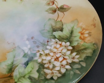 J. P. L. France Limoges Plate With Hand Painted Small White J. P. L. France Limoges Plate With Hand Painted Small White