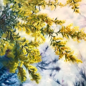 Mimosa -  oil painting by Harumi Kiyota