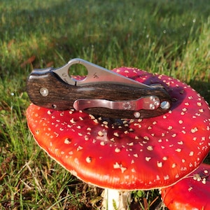 Spyderco para 3 lâminas em madeira semi-fóssil (morta) (sem faca)