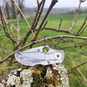 May include: A clear pocket knife with a silver blade and a gold accent on the handle. The knife is resting on a piece of wood covered in moss.