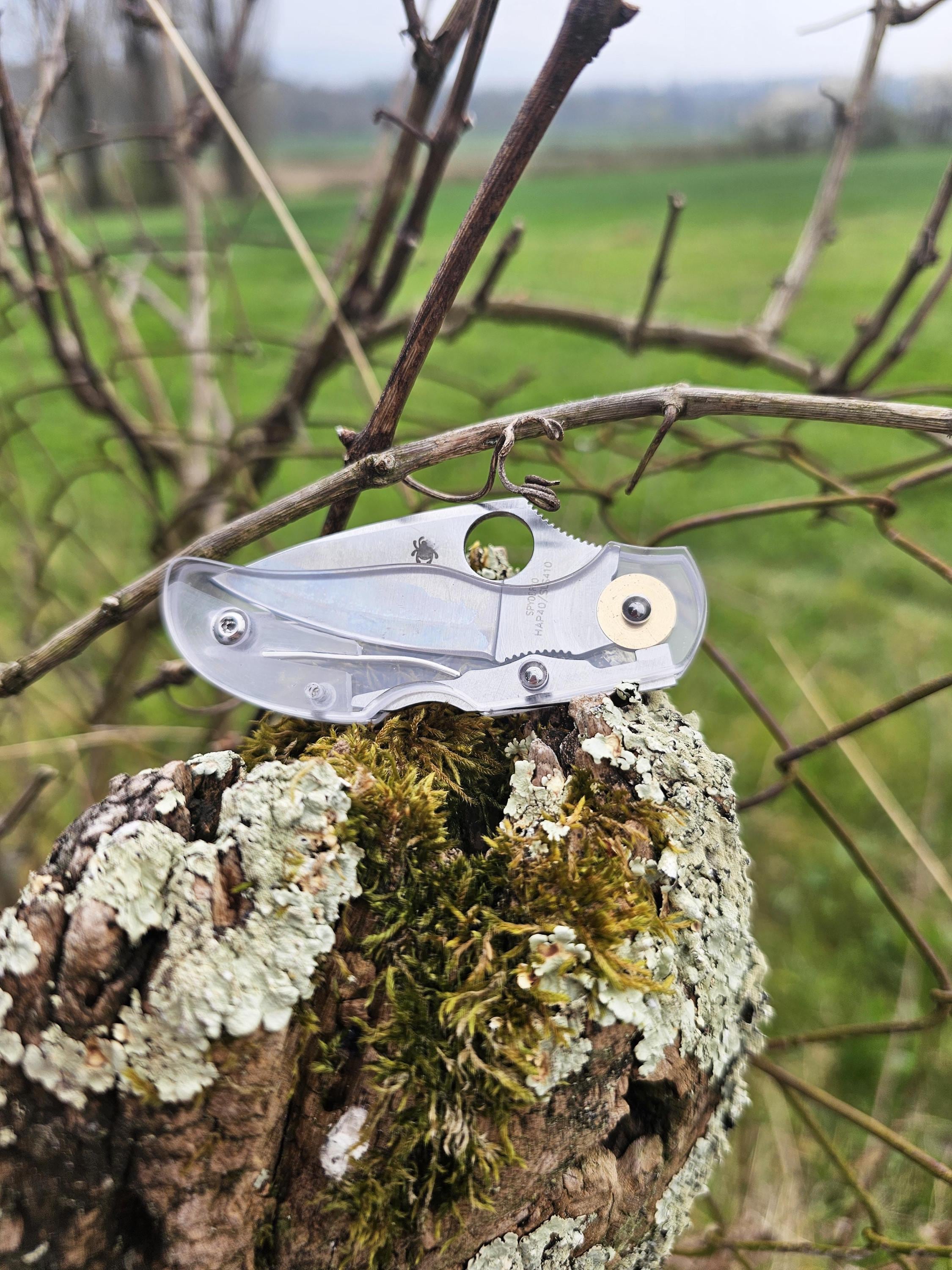 Spyderco - SPYDERCO　LADYBUG Spyderco Ladybug – The Brooks Review