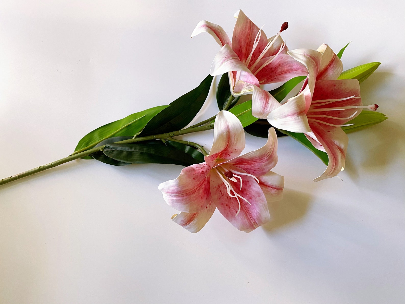 Artificial Lilies Fake Real Touch Lily Long Stem Stargazer Etsy