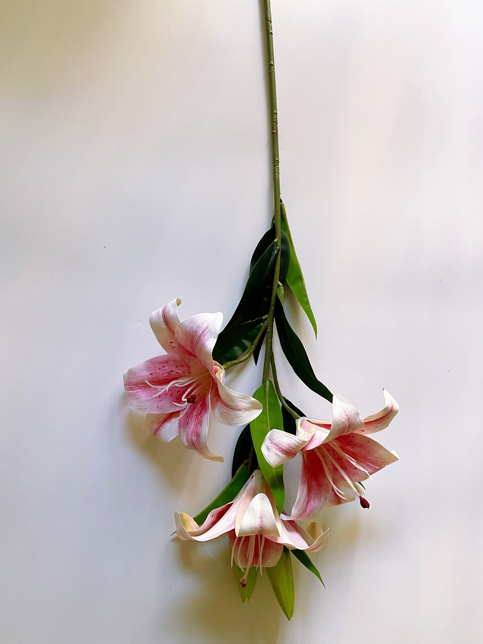 Artificial Lilies Fake Real Touch Lily Long Stem Stargazer Etsy