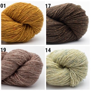 May include: Four skeins of yarn in different colors: mustard yellow, brown, gray, and light green. Each skein is made of a textured, speckled yarn.