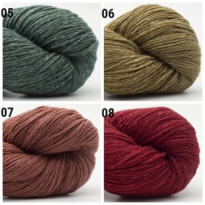 May include: Four skeins of yarn in different colors: green, brown, pink, and red. The yarn is arranged in a square, with each skein in a separate square. The skeins are all the same size and shape.