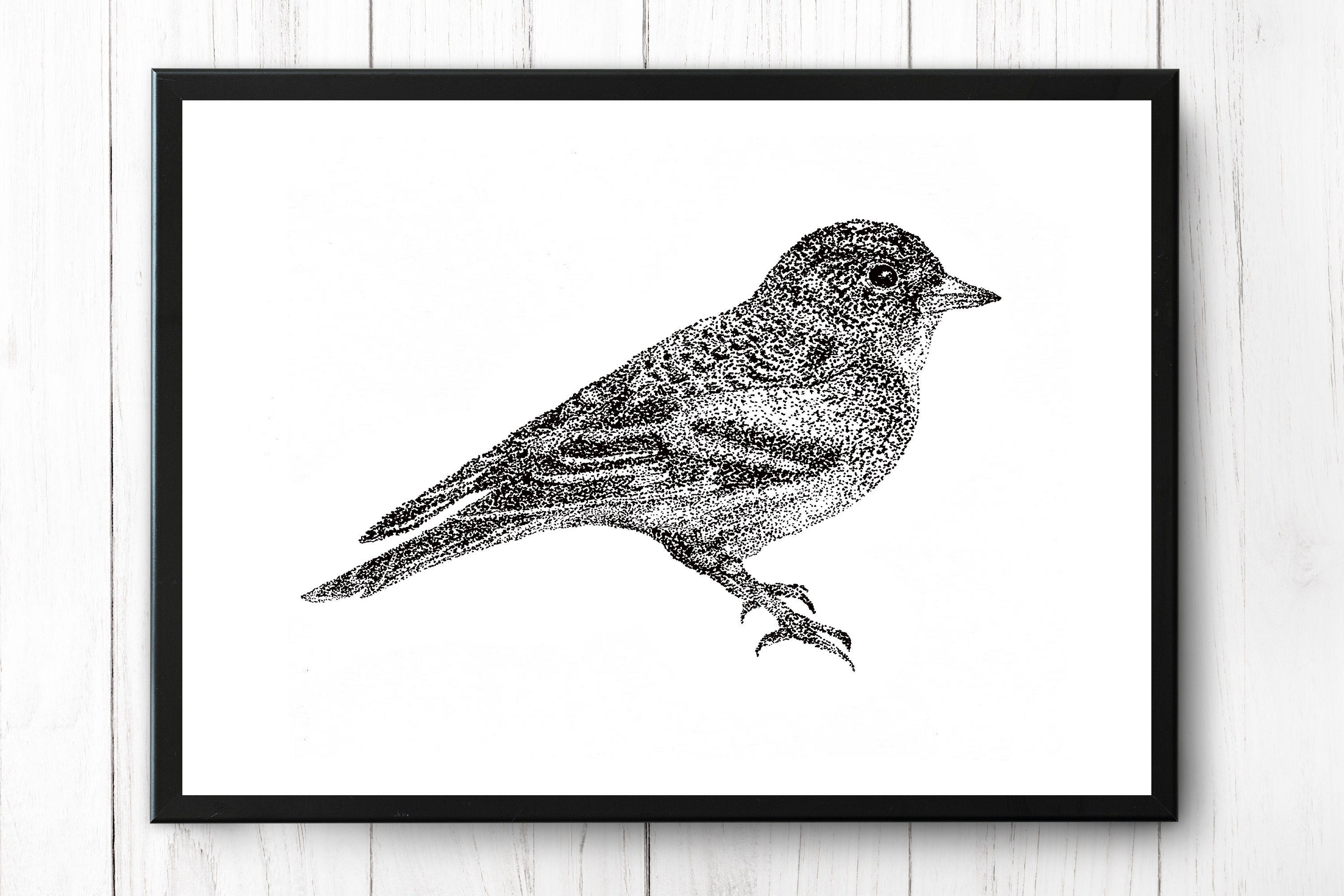 Stippling Drawing Hummingbird pen drawing on 3 x 3 paper pointillism all  dots original drawing