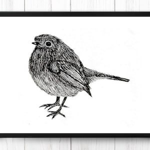 ロビン バード 手描き 壁飾り アートプリント - 鳥 動物 & 自然 壁掛け インクペン イラスト アートプリント