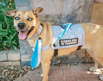 kong chew toys for puppies