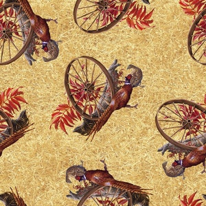 LAST CHANCE - Pheasant Run