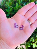 Cheshire Cat Earrings: Alice in Wonderland, Handmade Acrylic Nickel Free Studs Hypoallergenic