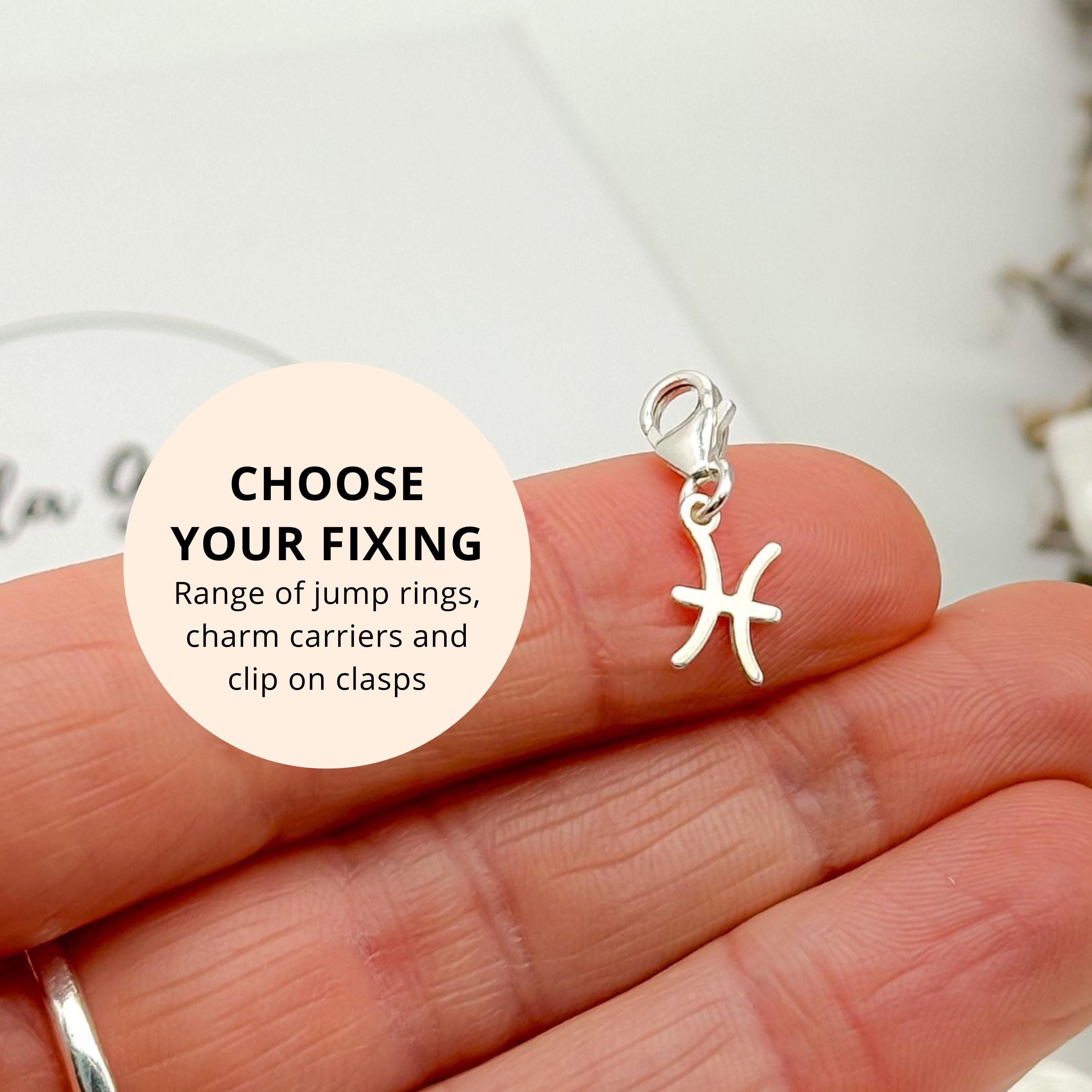 Sterling Silver Pisces Zodiac Pendant - Clip on Charms Star Sign ...