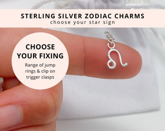 Sterling Silver Leo Pendant Charm - Clip on Zodiac Star Sign for Bracelet Necklace Anklet Jewellery - 925 Silver Trigger Clasp Jump Ring