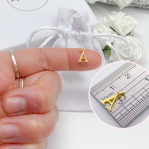 Gouden hanger met vermeil letter initialen - 925 sterlingzilver clip-on naamarmband ketting sieraden 1 cm 10 mm - halve fijne trekkersluiting