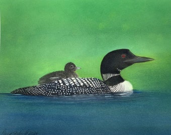 Common Loon and chick pastel painting, 11x14 inch wall decor