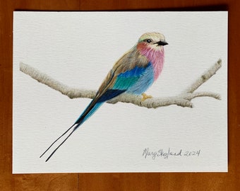 Original Lilac Breasted Roller, 6x8 inch coloured pencil drawing, wall decor