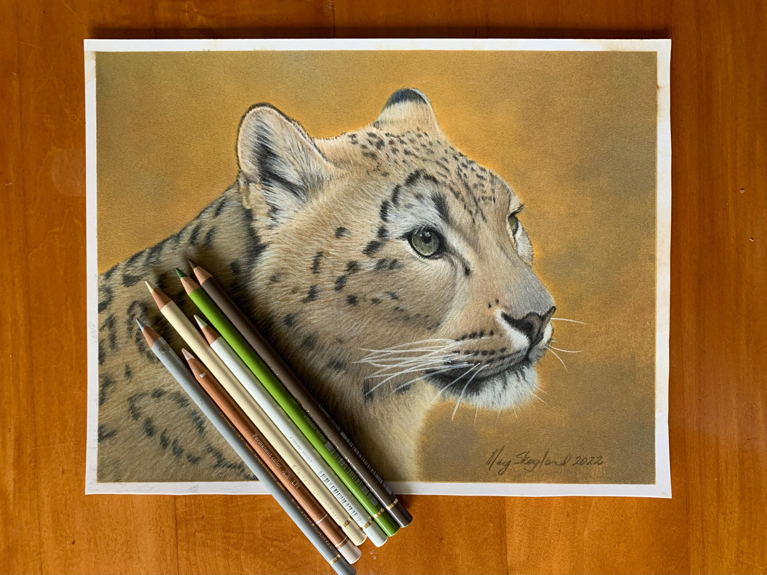 Snow Leopard Pastel Painting: Original Wildlife Portrait 9x12 - Etsy, image size:3000x2250