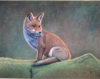 Red Fox, original pastel painting, wildlife art, 9x12 inch wall decor