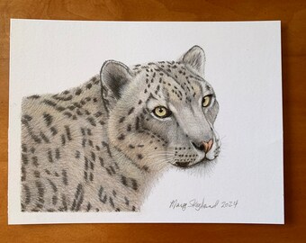 Original Snow Leopard portrait, coloured pencil drawing, 6x8 inch wall decor