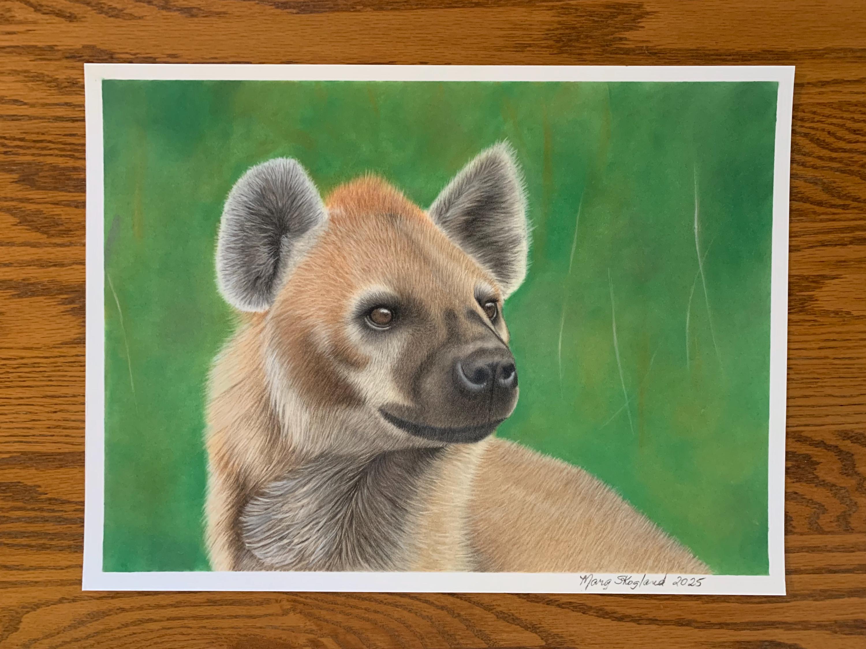 ハイエナの絵：オリジナルの色鉛筆とパンパステル、11 x 14インチ 